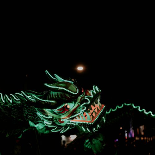 Dragon, photo by Katharina Thoma